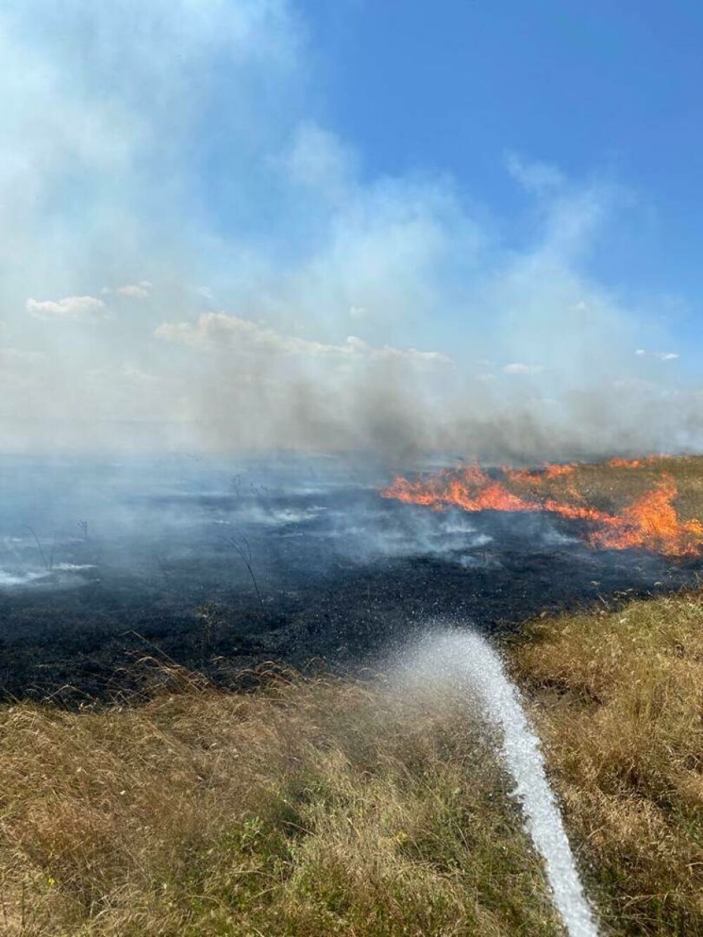 Incendiu de proporții la Jurilovca, după tragerile cu muniţie reală din poligonul Babadag. Anunțul MApN - Imaginea 6