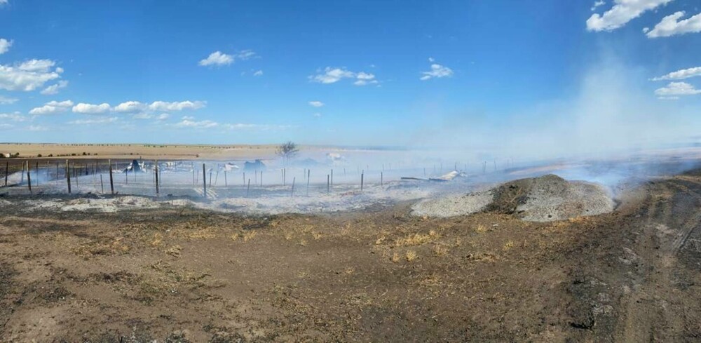 Incendiu de proporții la Jurilovca, după tragerile cu muniţie reală din poligonul Babadag. Anunțul MApN - Imaginea 3