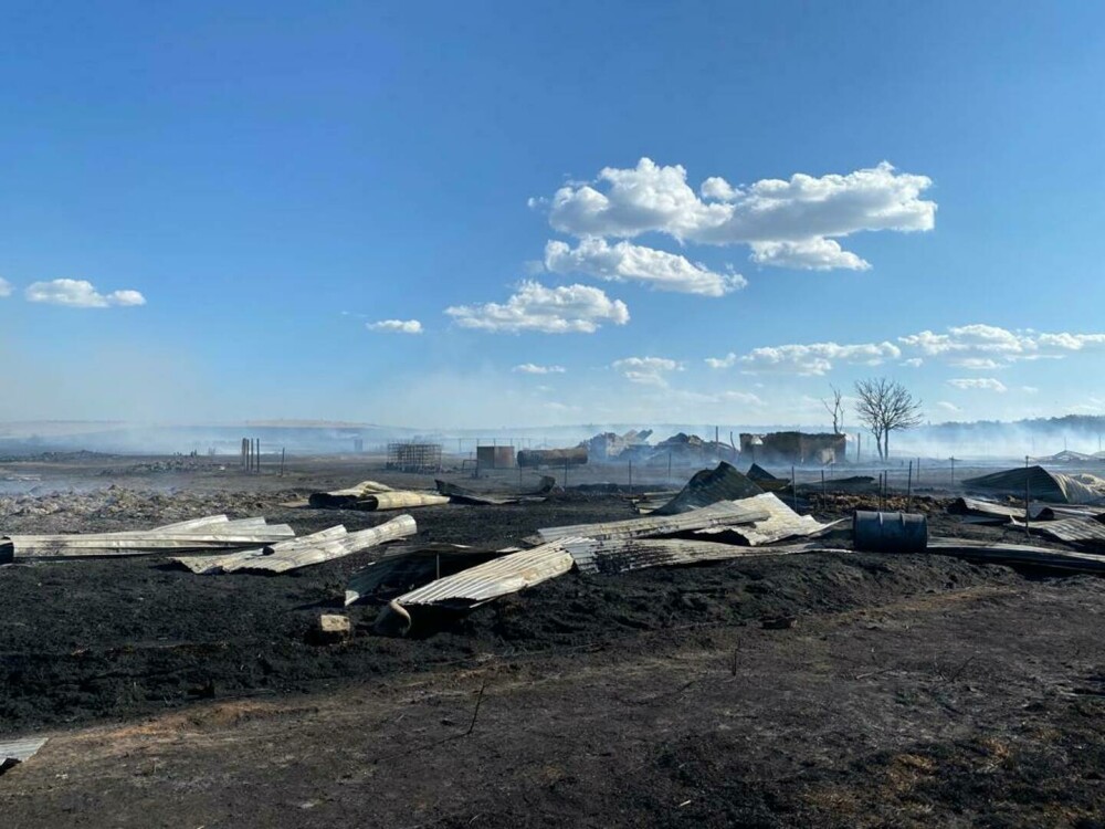 Incendiu de proporții la Jurilovca, după tragerile cu muniţie reală din poligonul Babadag. Anunțul MApN - Imaginea 2