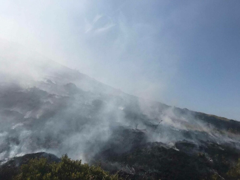 Muntele Găina a luat foc. Arde o suprafață mare. VIDEO - Imaginea 5