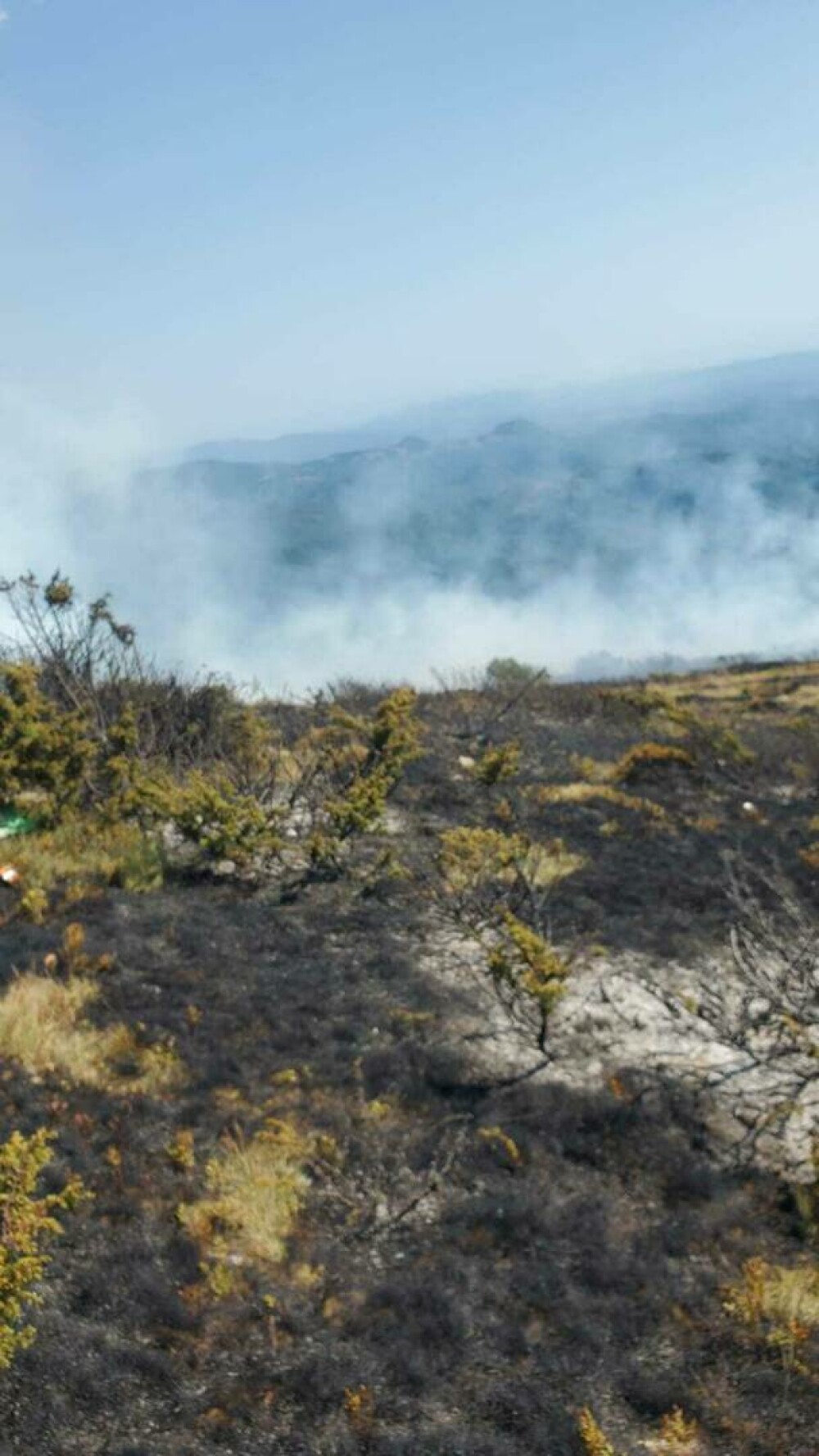 Muntele Găina a luat foc. Arde o suprafață mare. VIDEO - Imaginea 3