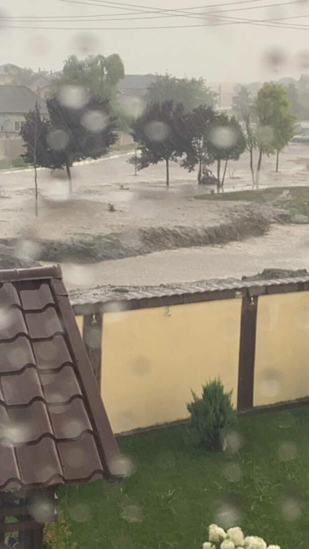Curţi inundate în urma unei ploi torenţiale, în Constanța. Mai multe localităţi, sub cod portocaliu de furtuni | GALERIE FOTO - Imaginea 1