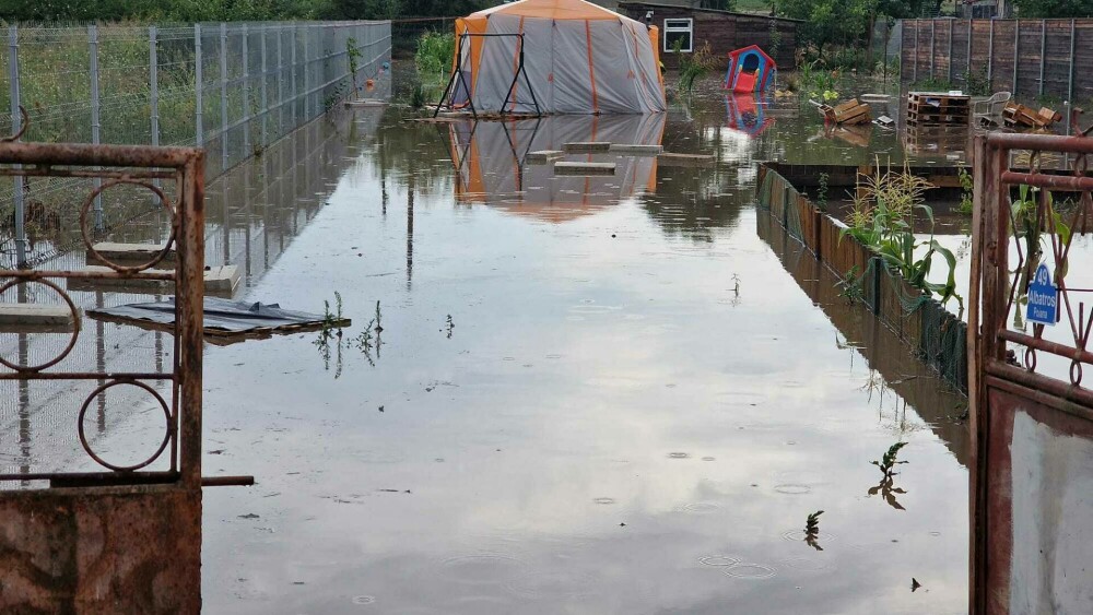 Curţi inundate în urma unei ploi torenţiale, în Constanța. Mai multe localităţi, sub cod portocaliu de furtuni | GALERIE FOTO - Imaginea 9