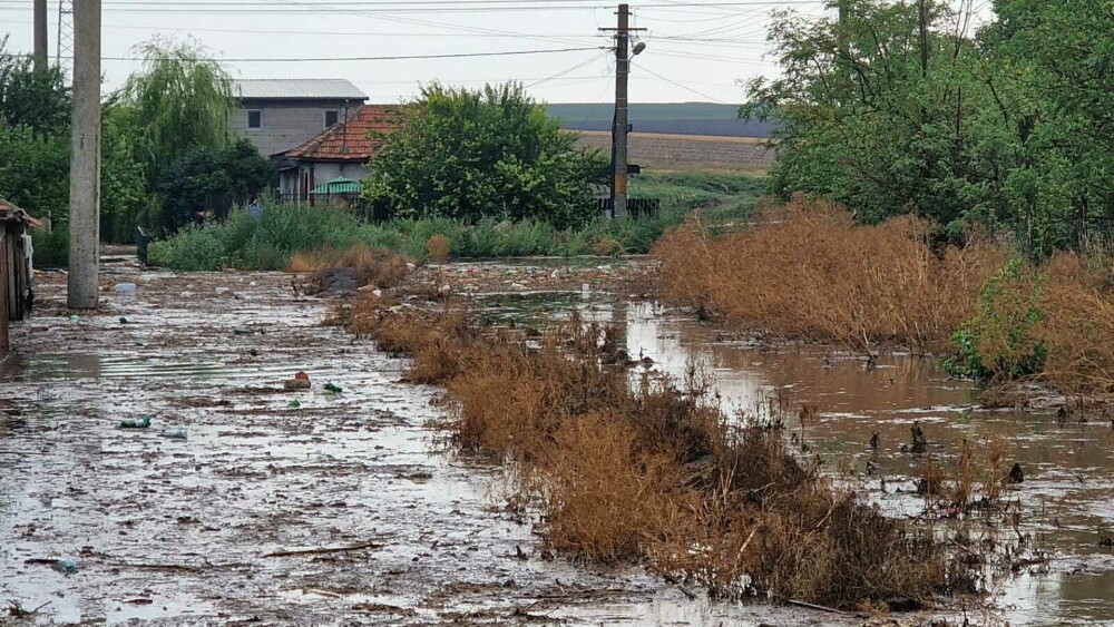 Curţi inundate în urma unei ploi torenţiale, în Constanța. Mai multe localităţi, sub cod portocaliu de furtuni | GALERIE FOTO - Imaginea 8