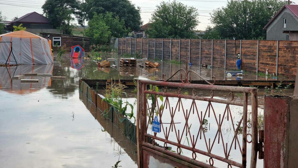 Curţi inundate în urma unei ploi torenţiale, în Constanța. Mai multe localităţi, sub cod portocaliu de furtuni | GALERIE FOTO - Imaginea 5