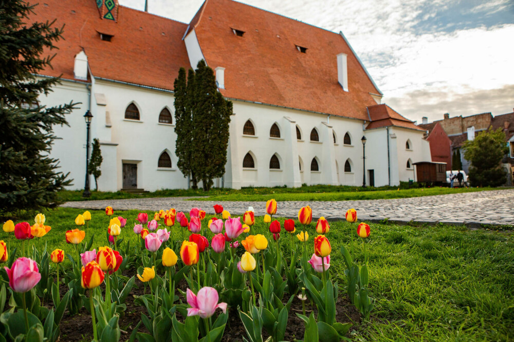 Ce poți face în Sighișoara, singurul oraș-cetate medieval locuit din Europa, aflat în patrimoniul UNESCO - Imaginea 4