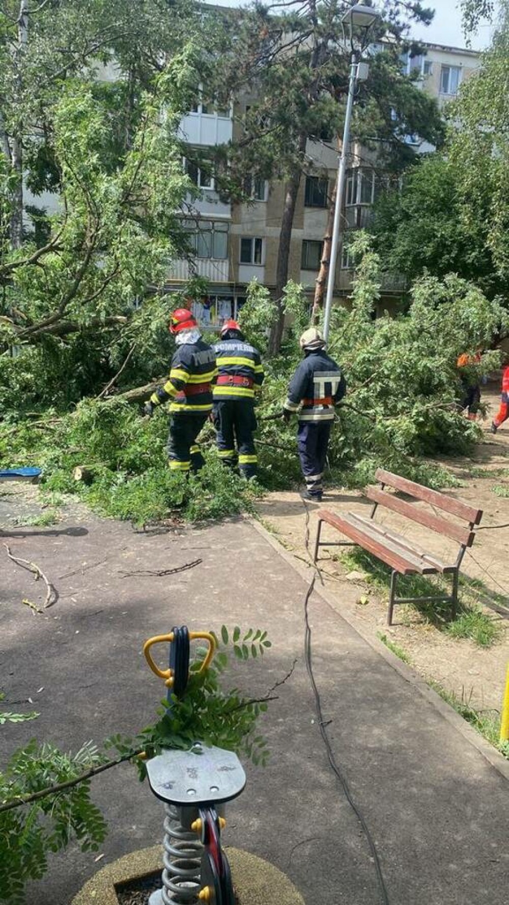 Un copil a fost rănit după ce un copac s-a rupt şi a căzut peste el, la un loc de joacă din Suceava. FOTO - Imaginea 2