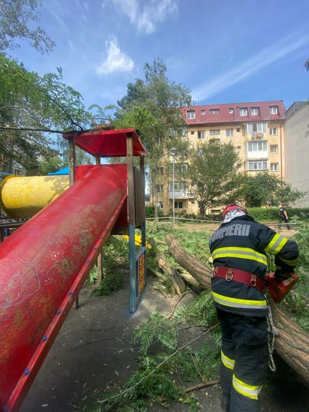 Un copil a fost rănit după ce un copac s-a rupt şi a căzut peste el, la un loc de joacă din Suceava. FOTO - Imaginea 3