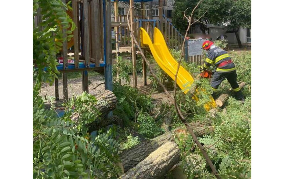 Un copil a fost rănit după ce un copac s-a rupt şi a căzut peste el, la un loc de joacă din Suceava. FOTO - Imaginea 1