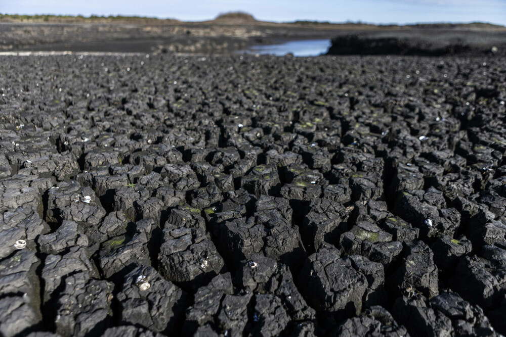 Țara care se confruntă cu o secetă istorică severă, după ce a ignorat avertismentele. Oamenii beau apă sărată de la robinet - Imaginea 8