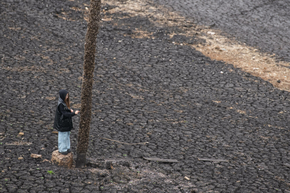Țara care se confruntă cu o secetă istorică severă, după ce a ignorat avertismentele. Oamenii beau apă sărată de la robinet - Imaginea 17
