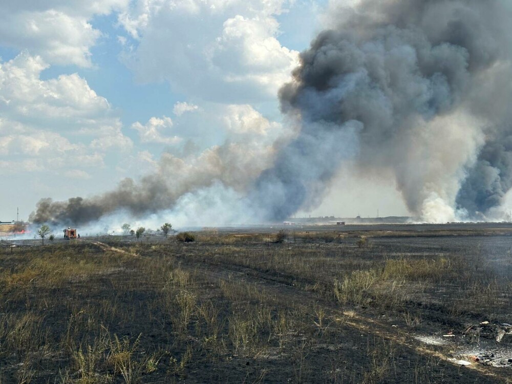 Incendiu masiv de vegetație în apropiere de București. Circulația rutieră a fost reluată| FOTO - Imaginea 8