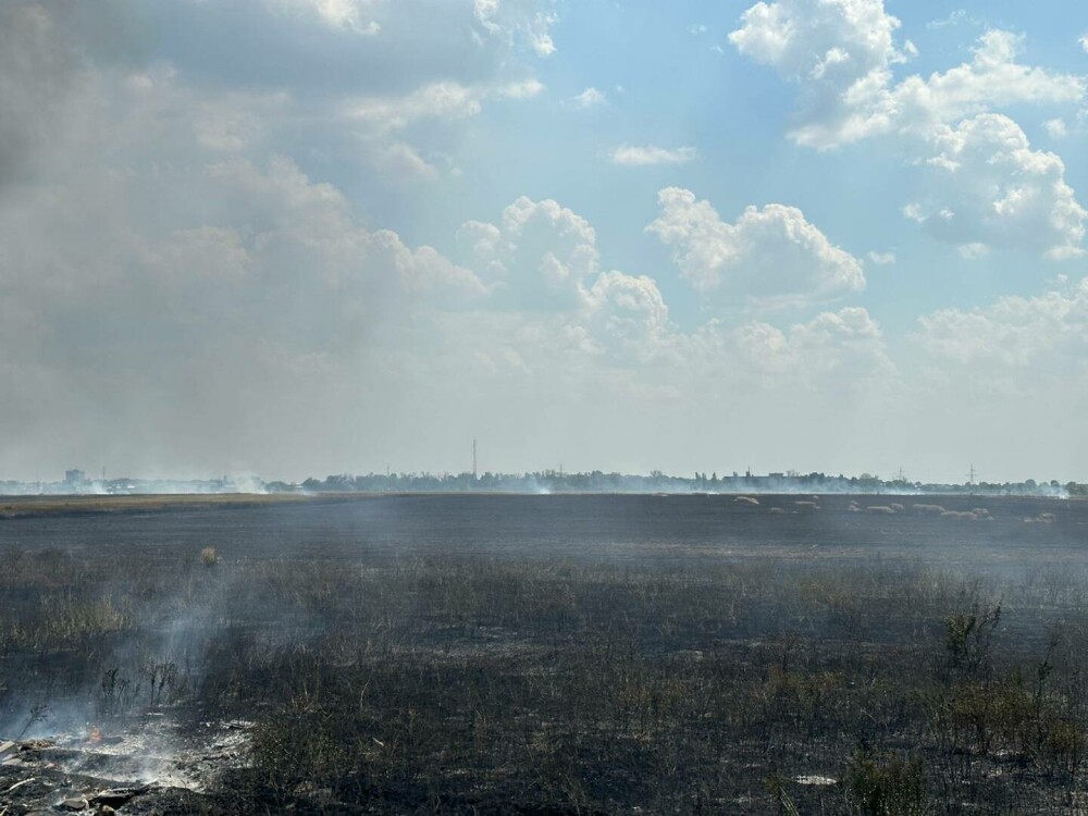 Incendiu masiv de vegetație în apropiere de București. Circulația rutieră a fost reluată| FOTO - Imaginea 9