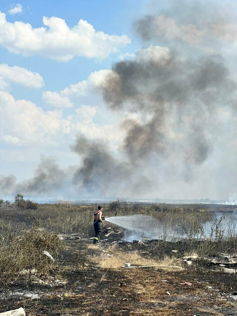 Incendiu masiv de vegetație în apropiere de București. Circulația rutieră a fost reluată| FOTO - Imaginea 10