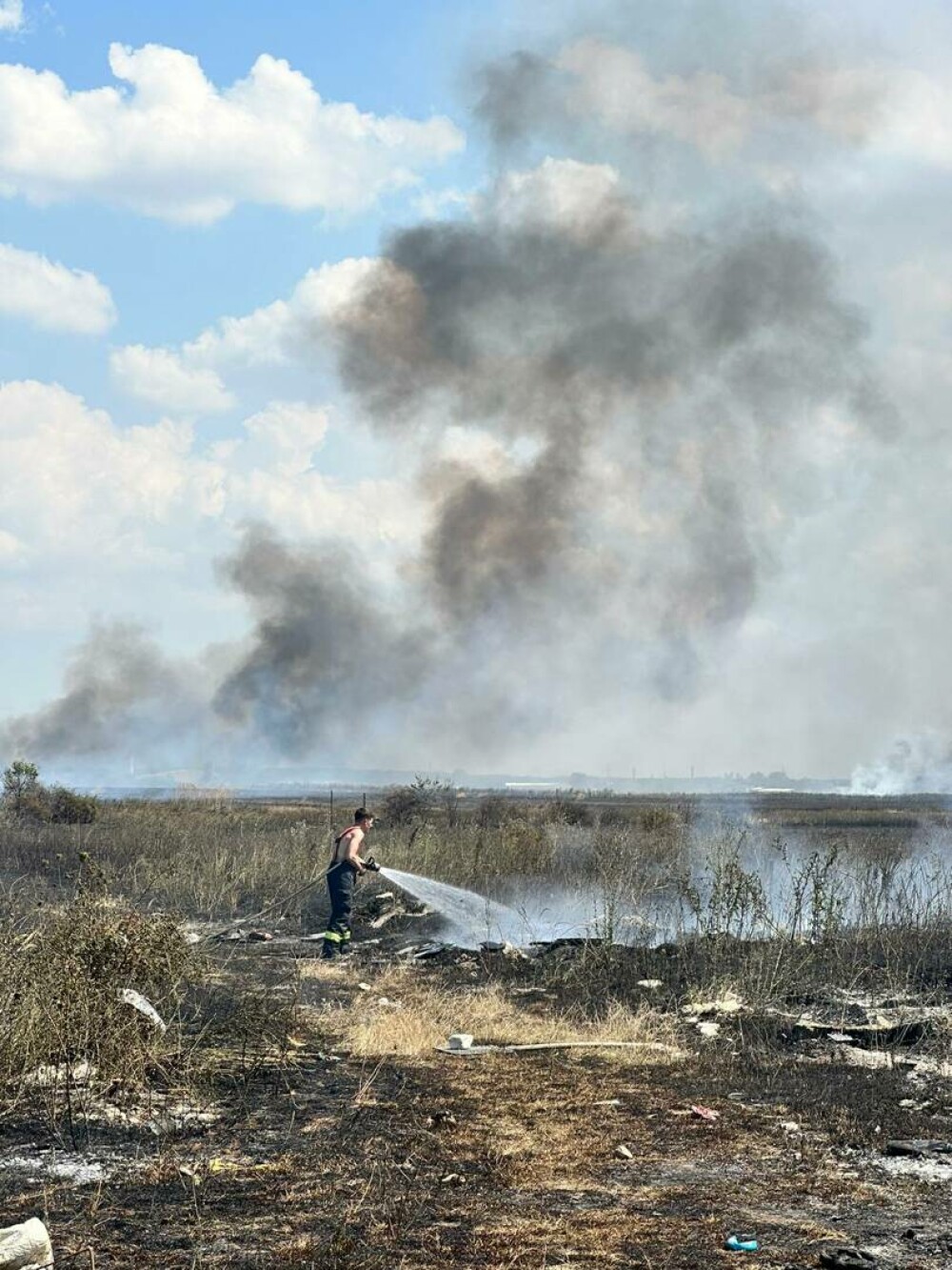 Incendiu masiv de vegetație în apropiere de București. Circulația rutieră a fost reluată| FOTO - Imaginea 11