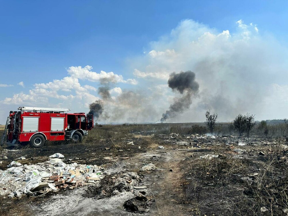 Incendiu masiv de vegetație în apropiere de București. Circulația rutieră a fost reluată| FOTO - Imaginea 12