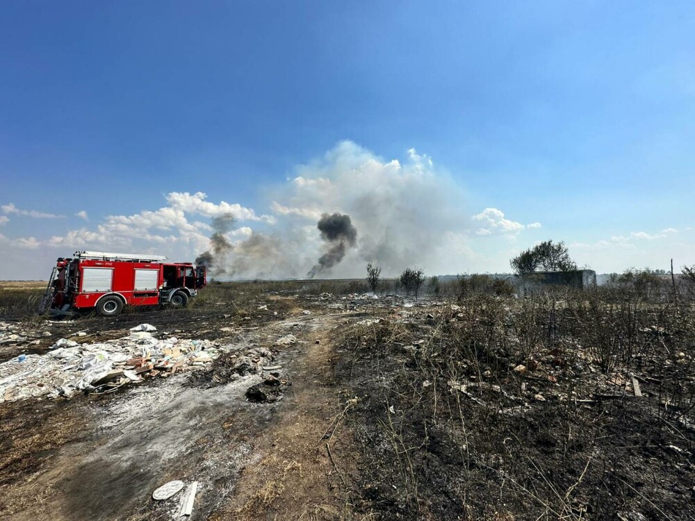 Incendiu masiv de vegetație în apropiere de București. Circulația rutieră a fost reluată| FOTO - Imaginea 13