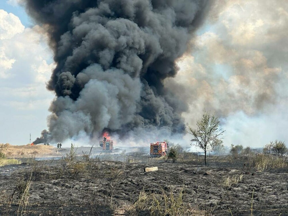 Incendiu masiv de vegetație în apropiere de București. Circulația rutieră a fost reluată| FOTO - Imaginea 17