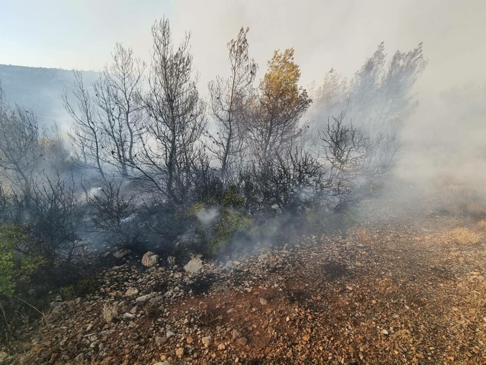 Pompierii români din Grecia intervin pentru stingerea unui incendiu de vegetaţie uscată şi pădure, la nord-vest de Atena - Imaginea 1