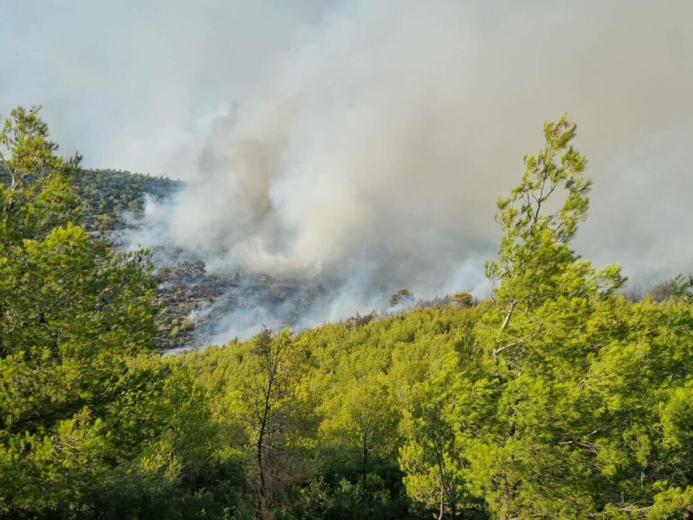 Pompierii români din Grecia intervin pentru stingerea unui incendiu de vegetaţie uscată şi pădure, la nord-vest de Atena - Imaginea 3