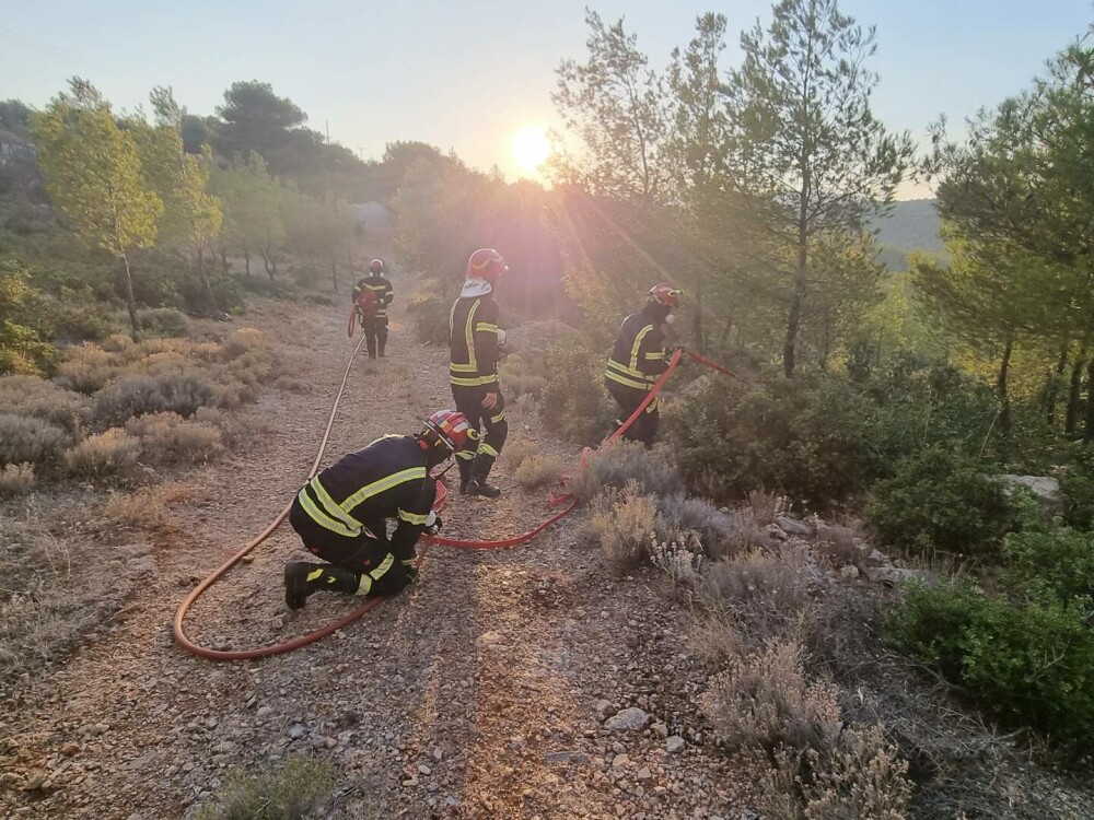 Pompierii români din Grecia intervin pentru stingerea unui incendiu de vegetaţie uscată şi pădure, la nord-vest de Atena - Imaginea 4