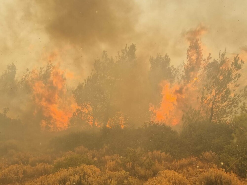 Pompierii români din Grecia intervin pentru stingerea unui incendiu de vegetaţie uscată şi pădure, la nord-vest de Atena - Imaginea 6