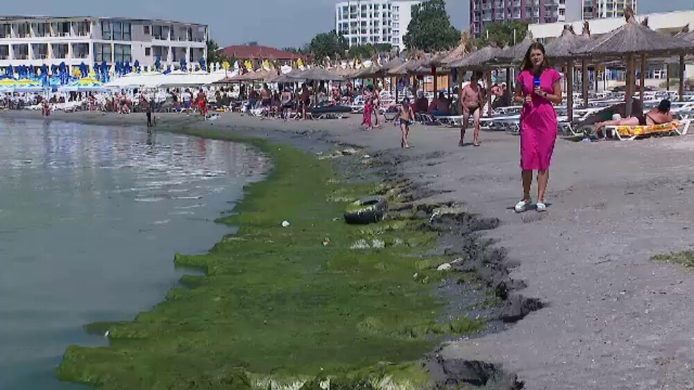 „Nu a mai fost niciodată așa.” Tone de alge putrezite au împânzit sudul litoralului și le strică vacanța turiștilor - Imaginea 5