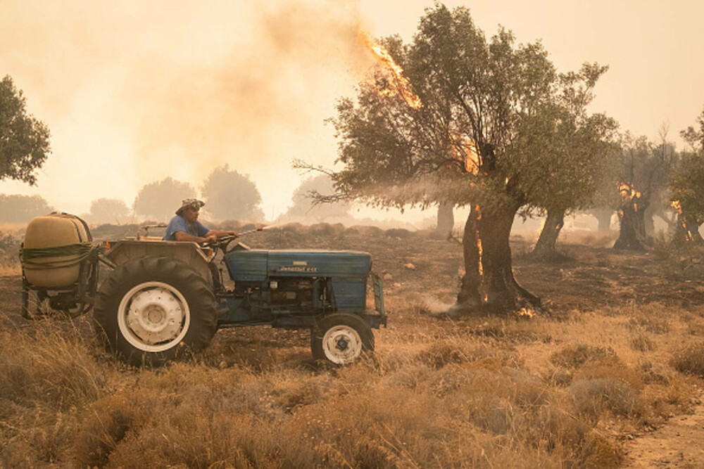 Incendii devastatoare în Rodos. Mii de persoane au fost evacuate și au petrecut noaptea în aer liber | GALERIE FOTO - Imaginea 18