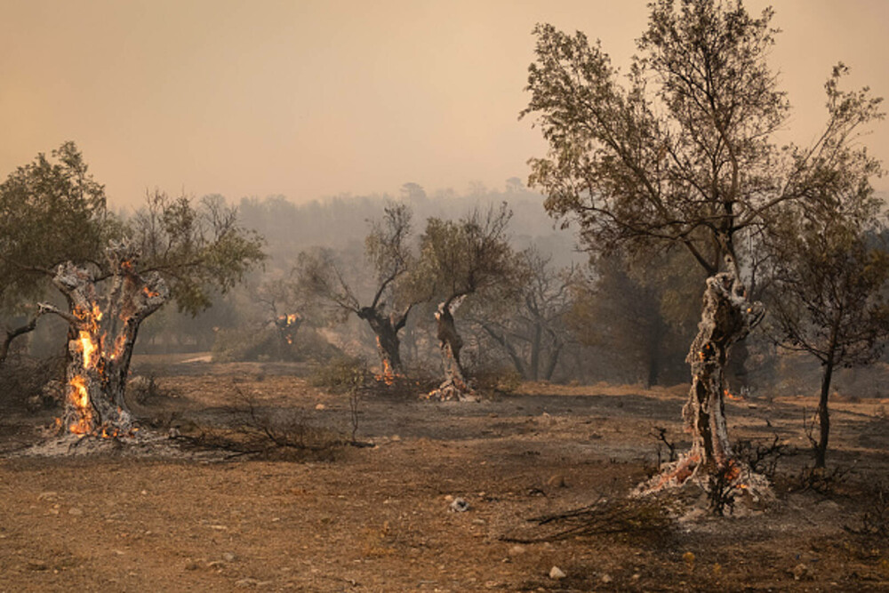 Un nou val de caniculă cuprinde Grecia, deja pârjolită de incendii devastatoare. Imagini cu focarul de lângă Atena - Imaginea 12