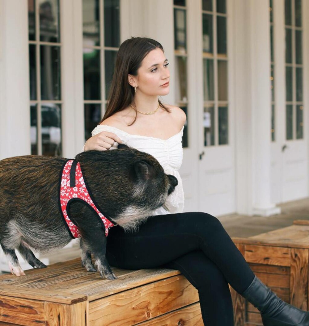 „Dorm alături de el. Este extrem de drăgălaș”. O tânără a ales un porc pe post de animal de companie. GALERIE FOTO - Imaginea 10