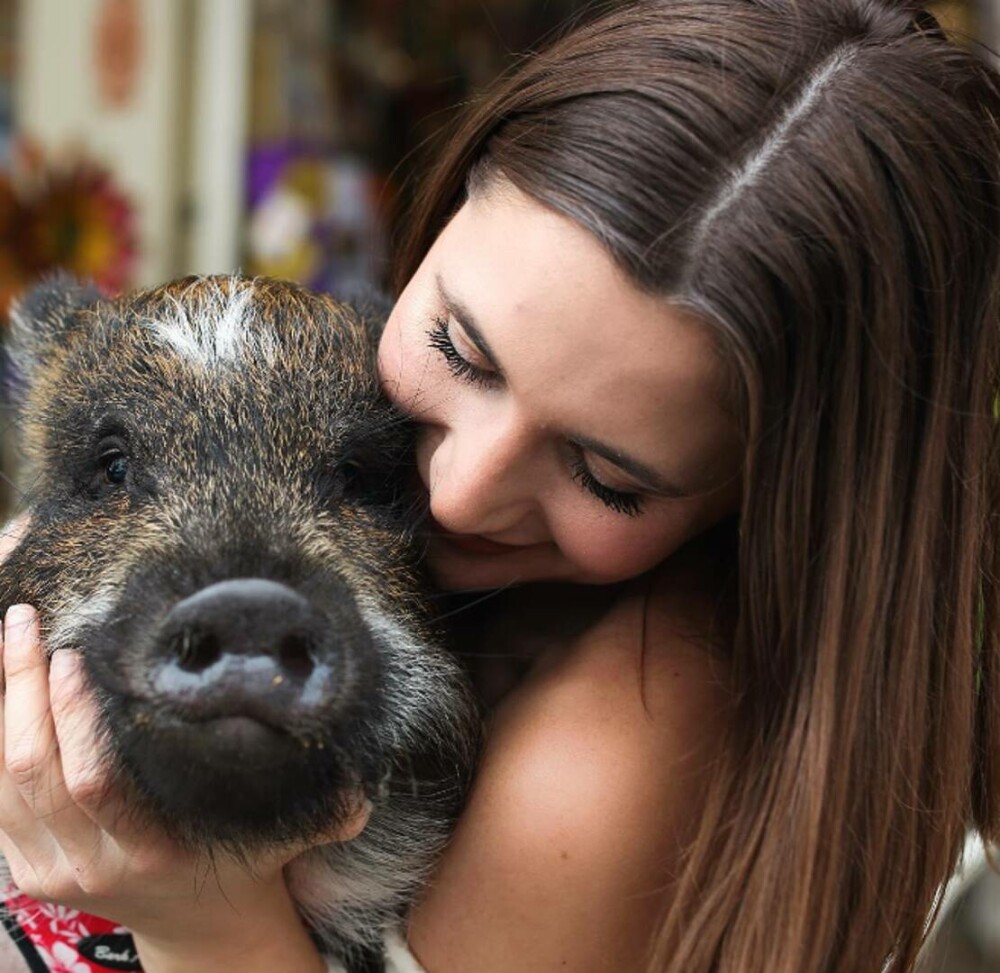„Dorm alături de el. Este extrem de drăgălaș”. O tânără a ales un porc pe post de animal de companie. GALERIE FOTO - Imaginea 12