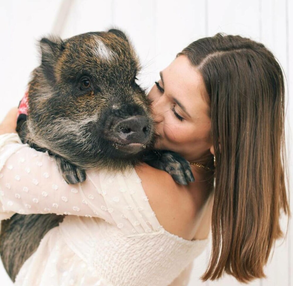 „Dorm alături de el. Este extrem de drăgălaș”. O tânără a ales un porc pe post de animal de companie. GALERIE FOTO - Imaginea 13