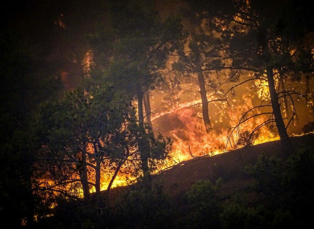 Incendiile din Grecia în imagini. Zeci de mii de oameni fug din calea flăcărilor devastatoare | Galerie Foto - Imaginea 16