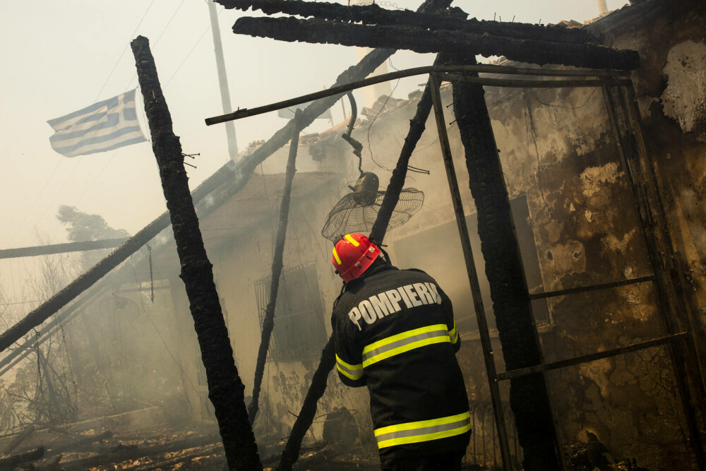 Pompierii români salvează animale din infernul elen. Imagini emoționante surprinse în timpul luptei cu flăcările | FOTO - Imaginea 2