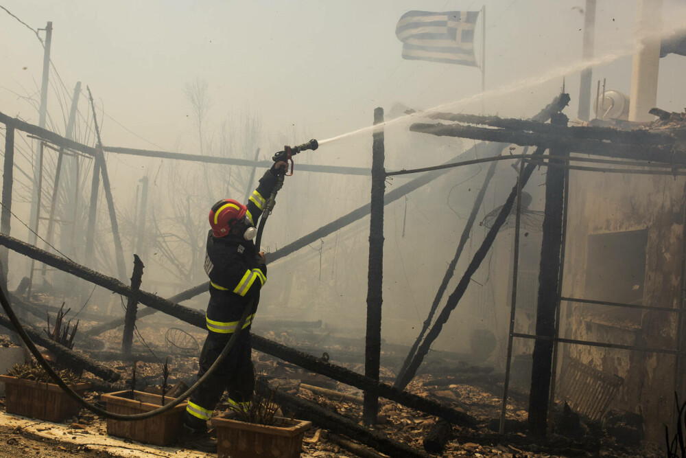 Pompierii români salvează animale din infernul elen. Imagini emoționante surprinse în timpul luptei cu flăcările | FOTO - Imaginea 3