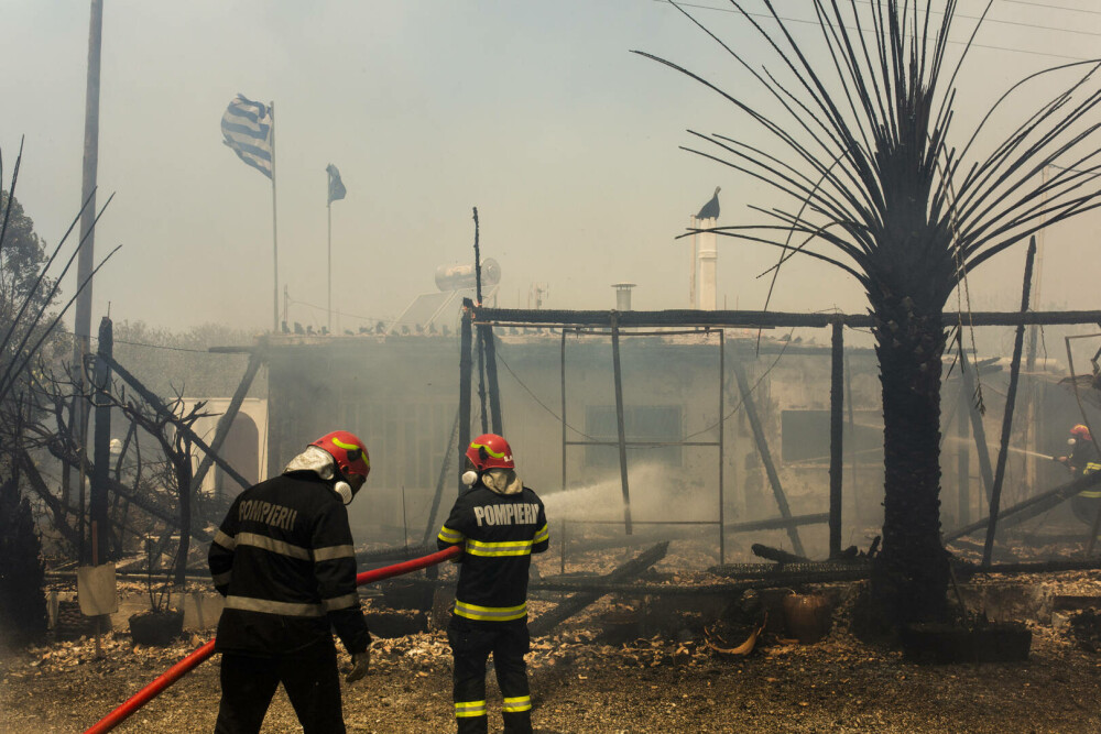 Pompierii români salvează animale din infernul elen. Imagini emoționante surprinse în timpul luptei cu flăcările | FOTO - Imaginea 5