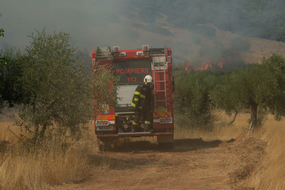 Pompierii români salvează animale din infernul elen. Imagini emoționante surprinse în timpul luptei cu flăcările | FOTO - Imaginea 11