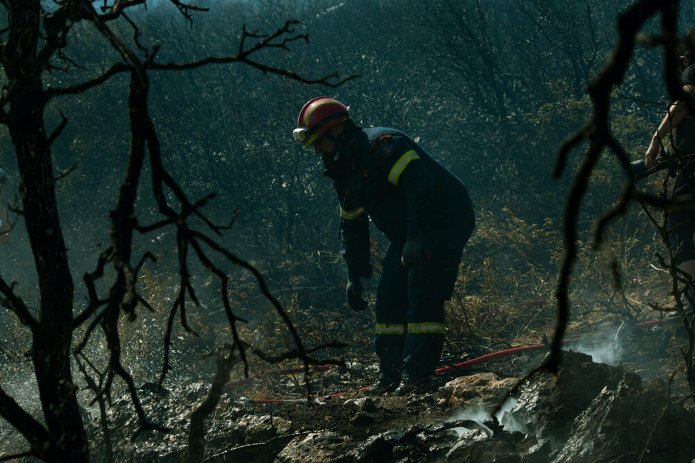 Pompierii români salvează animale din infernul elen. Imagini emoționante surprinse în timpul luptei cu flăcările | FOTO - Imaginea 12