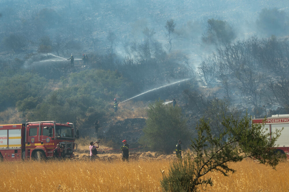 Pompierii români salvează animale din infernul elen. Imagini emoționante surprinse în timpul luptei cu flăcările | FOTO - Imaginea 13