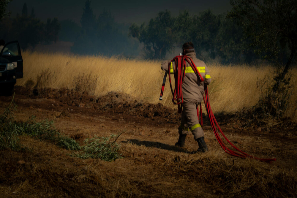 Pompierii români salvează animale din infernul elen. Imagini emoționante surprinse în timpul luptei cu flăcările | FOTO - Imaginea 14