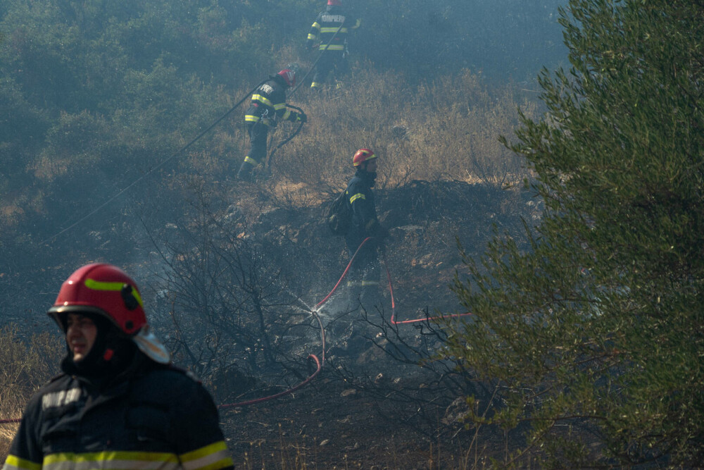 Pompierii români salvează animale din infernul elen. Imagini emoționante surprinse în timpul luptei cu flăcările | FOTO - Imaginea 15
