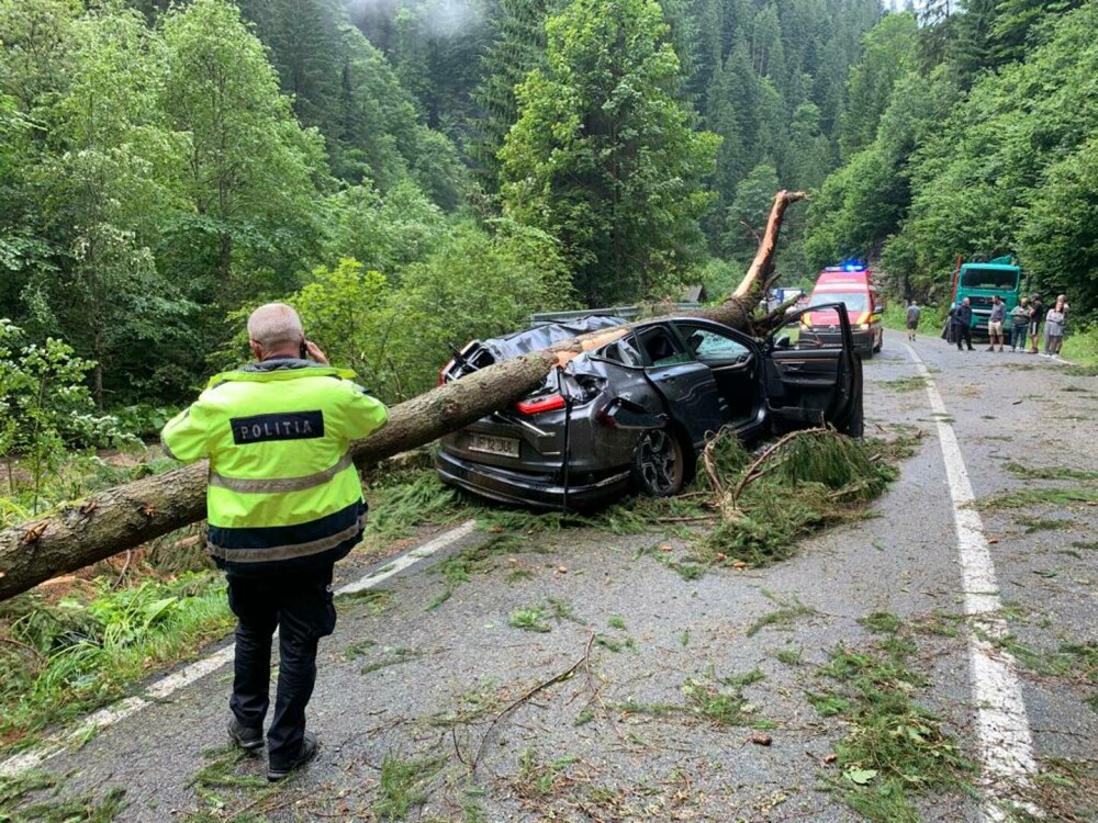 Doi soți au fost striviți de un copac care a căzut peste mașina lor, pe Transalpina. Femeia a murit pe loc - Imaginea 1