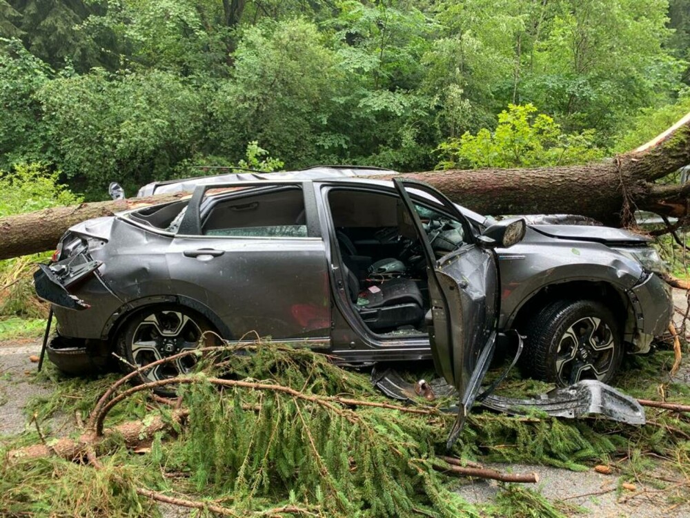 Doi soți au fost striviți de un copac care a căzut peste mașina lor, pe Transalpina. Femeia a murit pe loc - Imaginea 2