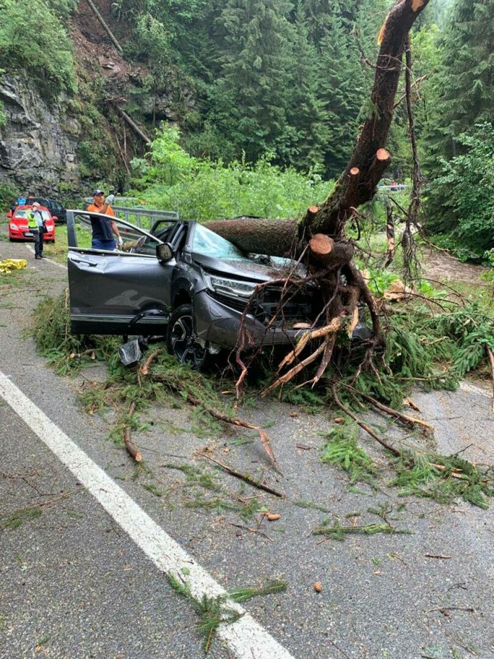 Doi soți au fost striviți de un copac care a căzut peste mașina lor, pe Transalpina. Femeia a murit pe loc - Imaginea 3