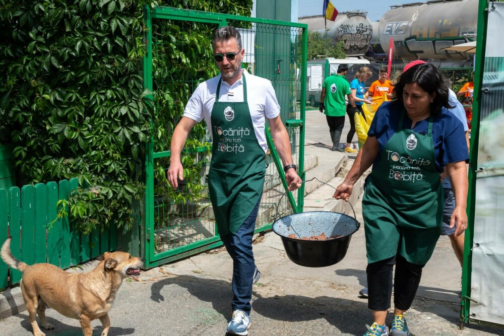 (P) Kaufland România se alătură Adăpostului Speranța: peste 500 porții de mâncare, gătite pentru câinii din adăpost - Imaginea 3