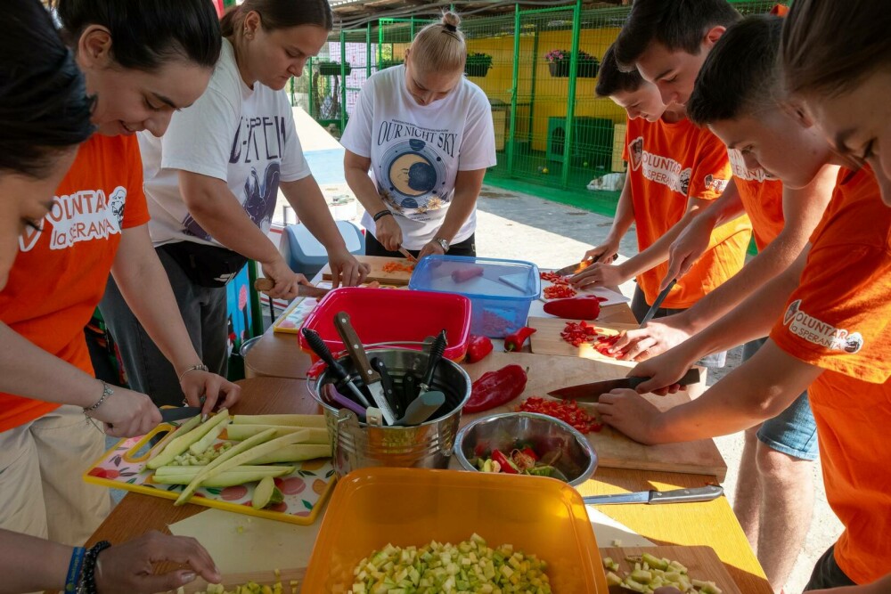 (P) Kaufland România se alătură Adăpostului Speranța: peste 500 porții de mâncare, gătite pentru câinii din adăpost - Imaginea 4