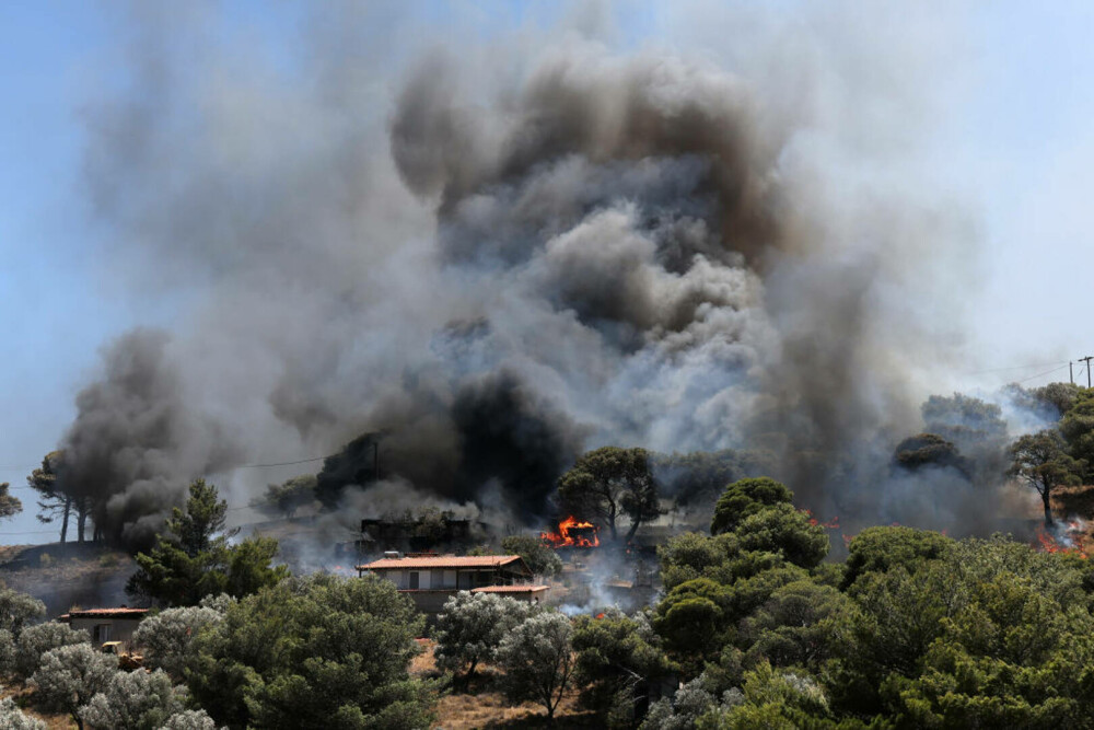 Incendii majore în Grecia. O turistă aflată pe o insulă povestește coșmarul trăit din cauza focului. „E ca un film de război” - Imaginea 10