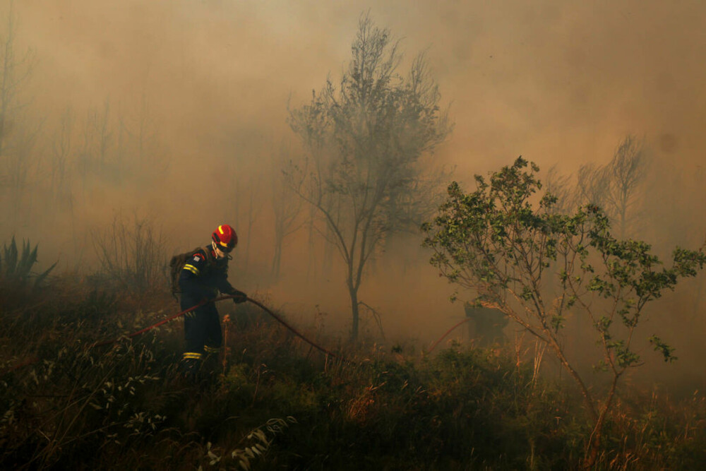 Incendii majore în Grecia. O turistă aflată pe o insulă povestește coșmarul trăit din cauza focului. „E ca un film de război” - Imaginea 11