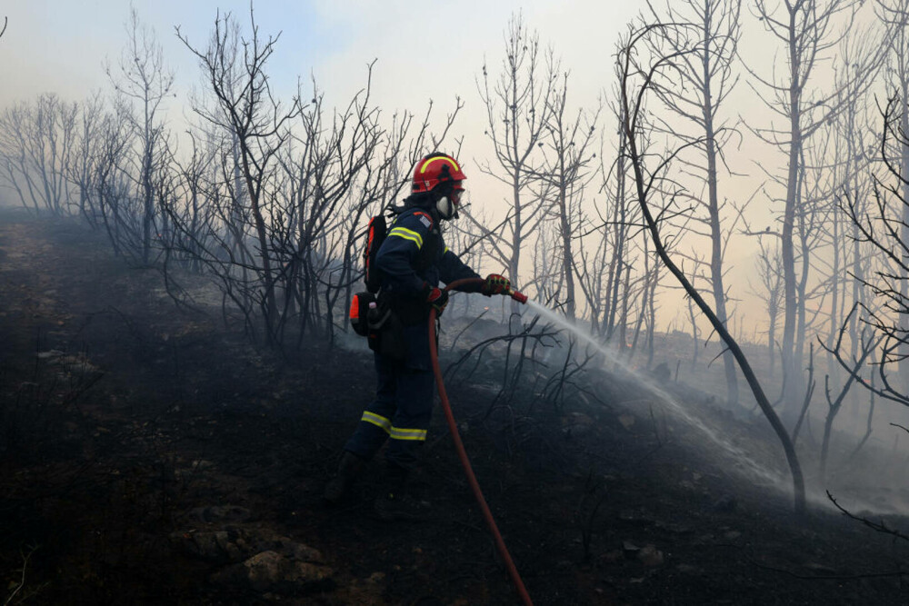 Incendii majore în Grecia. O turistă aflată pe o insulă povestește coșmarul trăit din cauza focului. „E ca un film de război” - Imaginea 12
