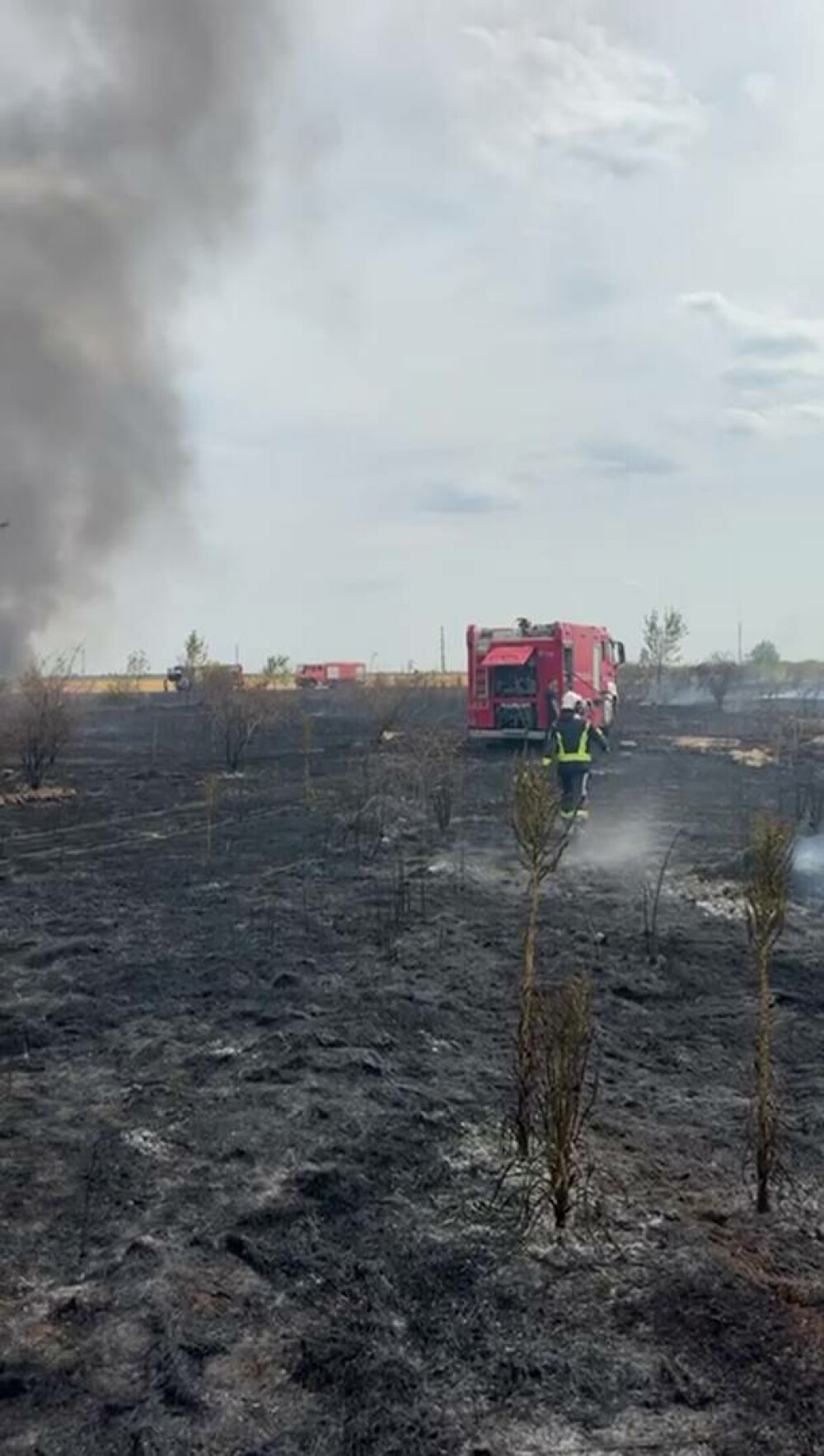 Incendiu de vegetație uscată în Popești-Leordeni. Flăcările s-au extins la o locuință | FOTO & VIDEO - Imaginea 5